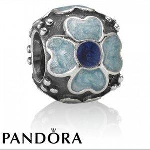 Authentic Pandora Charm!